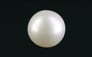 South Sea Pearl - 10.73 Carat Prime Quality SSP-8850
