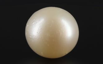 South Sea Pearl - 10.79 Carat Prime Quality SSP-8656