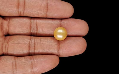 South Sea Pearl - 10.86 Carat Limited Quality SSP-9107