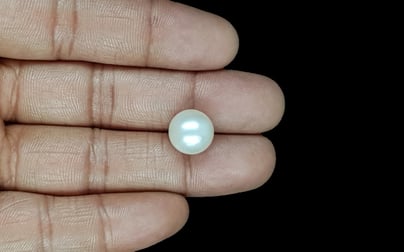 South Sea Pearl - 10.91 Carat Prime Quality SSP-8854