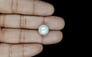 South Sea Pearl - 10.91 Carat Prime Quality SSP-8854