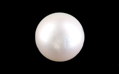 South Sea Pearl - 10.91 Carat Prime Quality SSP-8854
