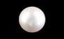South Sea Pearl - 10.91 Carat Prime Quality SSP-8854