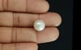 South Sea Pearl - 11.22 Carat Prime Quality SSP-8655