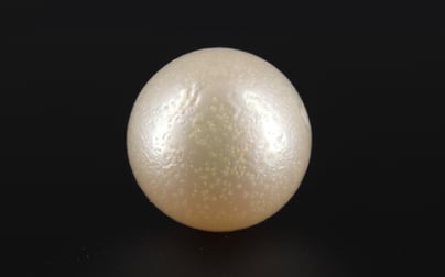 South Sea Pearl - 11.22 Carat Prime Quality SSP-8655