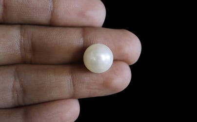 South Sea Pearl - 11.23 Carat Prime Quality SSP-8640