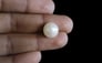 South Sea Pearl - 11.23 Carat Prime Quality SSP-8640