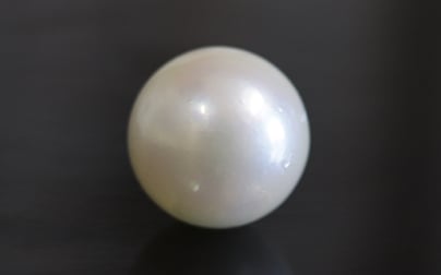 South Sea Pearl - 11.23 Carat Prime Quality SSP-8640