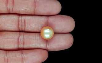 South Sea Pearl - 11.54 Carat Prime Quality SSP-8884