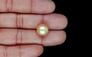 South Sea Pearl - 11.54 Carat Prime Quality SSP-8884