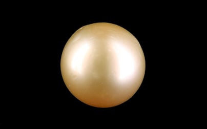 South Sea Pearl - 11.54 Carat Prime Quality SSP-8884