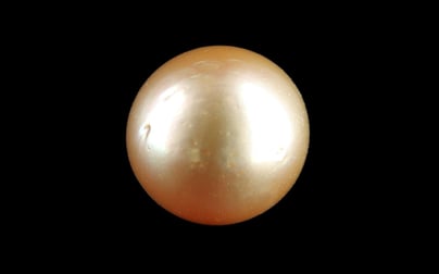 South Sea Pearl - 11.56 Carat Rare Quality SSP-9096