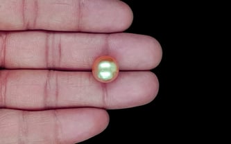 South Sea Pearl - 11.58 Carat Prime Quality SSP-8888