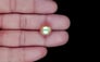 South Sea Pearl - 11.58 Carat Prime Quality SSP-8888
