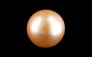 South Sea Pearl - 11.58 Carat Prime Quality SSP-8888