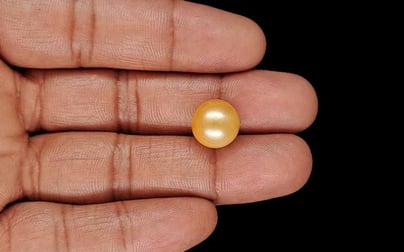 South Sea Pearl - 11.94 Carat Prime Quality SSP-9105