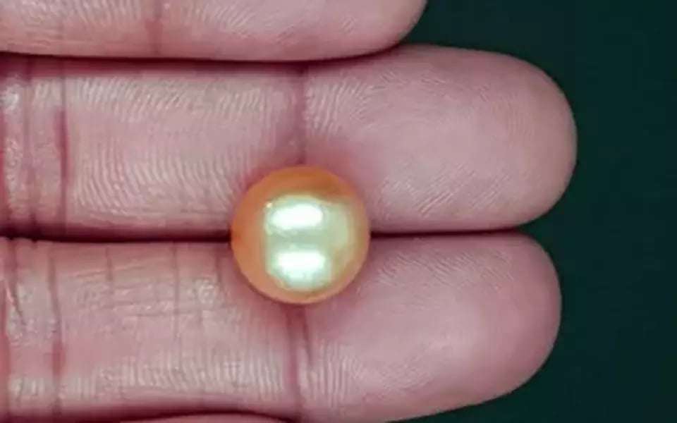 South Sea Pearl - 11.96 Carat Prime Quality SSP-8890