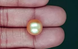 South Sea Pearl - 11.96 Carat Prime Quality SSP-8890