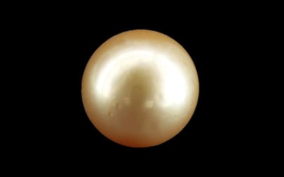 South Sea Pearl - 12.46 Carat Rare Quality SSP-9099