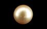 South Sea Pearl - 12.46 Carat Rare Quality SSP-9099