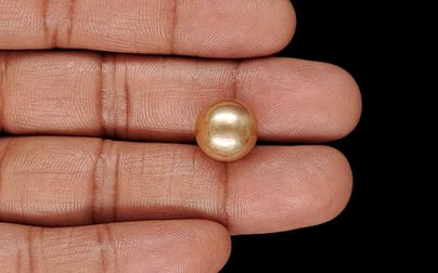South Sea Pearl - 12.46 Carat Rare Quality SSP-9099