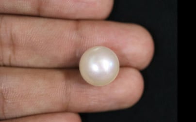 South Sea Pearl - 12.73 Carat Prime Quality SSP-8602