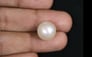South Sea Pearl - 12.73 Carat Prime Quality SSP-8602