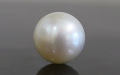 South Sea Pearl - 12.73 Carat Prime Quality SSP-8602