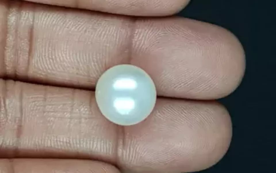 South Sea Pearl - 13.62 Carat Prime Quality SSP-8845