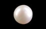 South Sea Pearl - 13.62 Carat Prime Quality SSP-8845