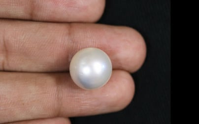 South Sea Pearl - 15.42 Carat Prime Quality SSP-8603