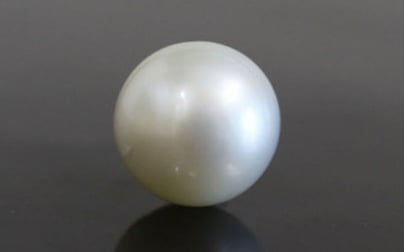 South Sea Pearl - 15.42 Carat Prime Quality SSP-8603