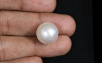 South Sea Pearl - 18.84 Carat Prime Quality SSP-8604