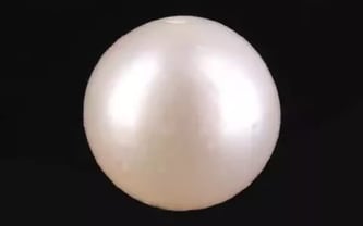 South Sea Pearl - 2.95 Carat Prime Quality SSP-8876