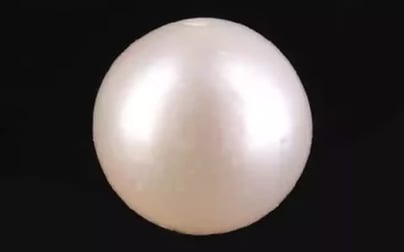 South Sea Pearl - 2.95 Carat Prime Quality SSP-8876