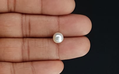 South Sea Pearl - 3.13 Carat Prime Quality SSP-8702