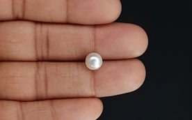 South Sea Pearl - 3.13 Carat Prime Quality SSP-8702
