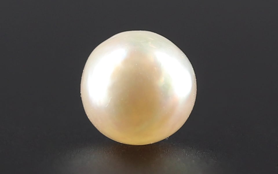 South Sea Pearl - 3.13 Carat Prime Quality SSP-8702