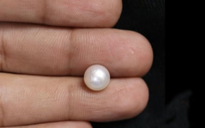 South Sea Pearl - 3.29 Carat Fine Quality SSP-8591