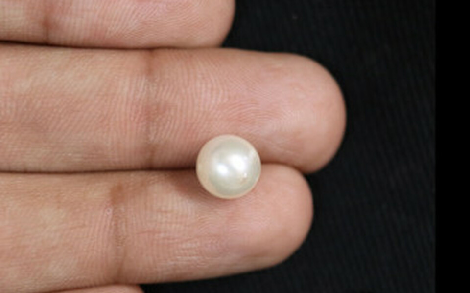 South Sea Pearl - 3.35 Carat Fine Quality SSP-8589