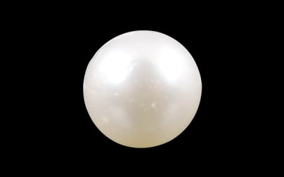South Sea Pearl - 3.48 Carat Prime Quality SSP-8559