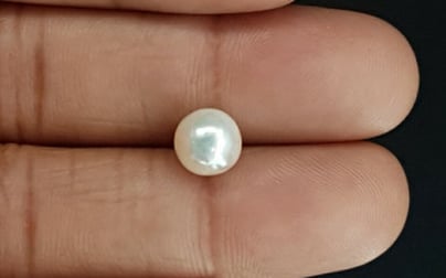 South Sea Pearl - 3.59 Carat Prime Quality SSP-8719