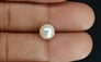 South Sea Pearl - 3.59 Carat Prime Quality SSP-8719