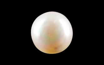 South Sea Pearl - 3.59 Carat Prime Quality SSP-8719