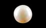South Sea Pearl - 3.59 Carat Prime Quality SSP-8719