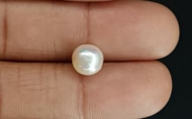 South Sea Pearl - 3.69 Carat Prime Quality SSP-8729