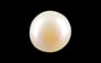 South Sea Pearl - 3.69 Carat Prime Quality SSP-8729