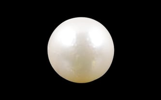 South Sea Pearl - 3.77 Carat Prime Quality SSP-8510