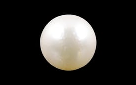 South Sea Pearl - 3.77 Carat Prime Quality SSP-8510