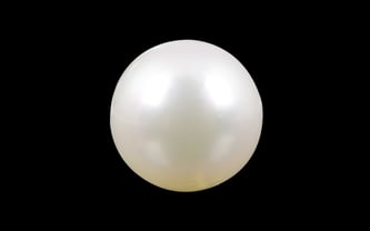 South Sea Pearl - 3.83 Carat Prime Quality SSP-8565